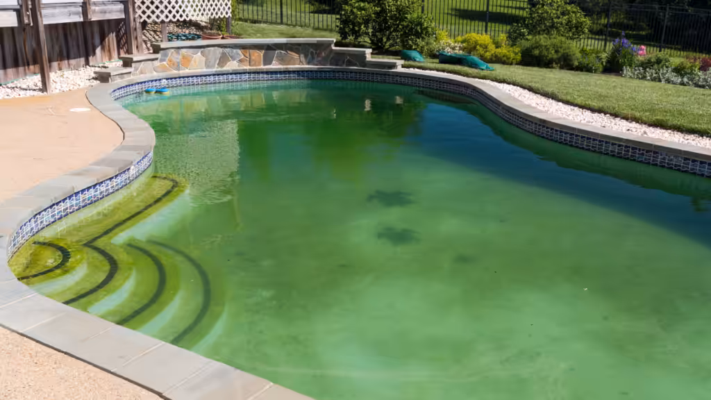 Entretien Piscine : Comment traiter une eau verte de piscine ?